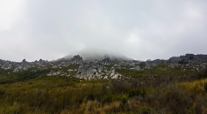 20181202_080347 (2).jpg