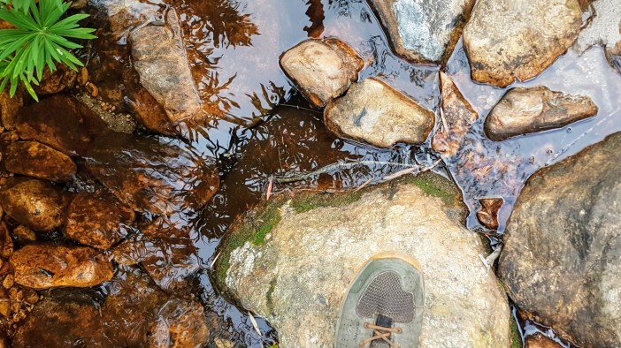 20190330_082023 (1).jpg